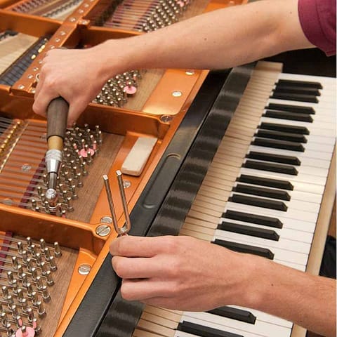 Piano tuning in Vienna