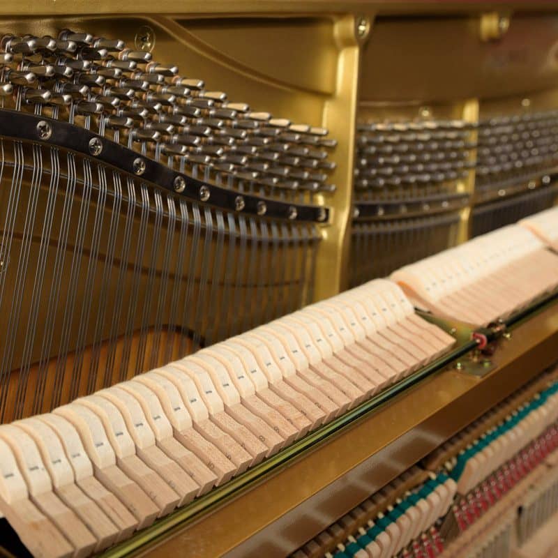 Yamaha U1G